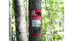画像はイメージ