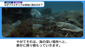 本編動画イメージ 海編