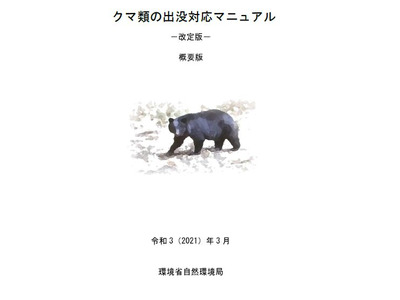 文科省、クマ出没に対する安全確保を通知…危機管理マニュアル改訂など要請 画像