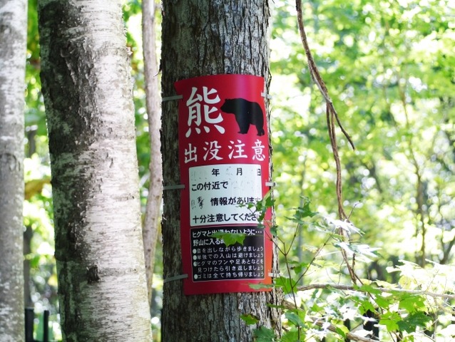 画像はイメージ