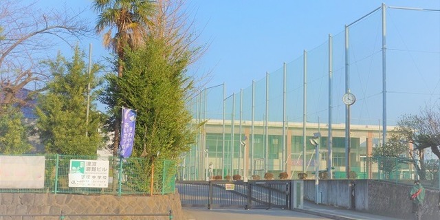 画像はイメージ