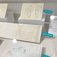 兵庫教育大学「長岡文雄先生の教育展」8/31まで | 教育業界ニュース