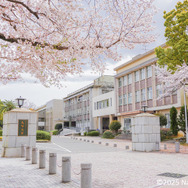 50年目の「大学解体」 20年後の大学再生: 高等教育政策をめぐる知の貧困を越えて 50年目の「大学解体」 20年後の大学再生 高等教育政策をめぐる知の貧困