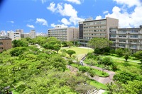 琉球大学