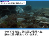 神奈川県、プラスチックごみ問題を探究するオリジナル動画教材公開 画像
