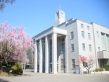 【大学受験2028】聖心女子大、現代教養学部に3学科新設 画像