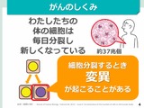 がん教育、教材・外部講師活用研修会の動画配信…文科省 画像