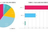 外国ルーツをもつ生徒「楽しい」9割、学校は実態把握に課題…千葉大調査 画像