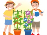 小学生の栽培学習、教員の7割「命大切にする心」育むと実感 画像