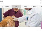 岐阜大と鳥取大、共同獣医学部設置構想…2028年度の設置へ 画像